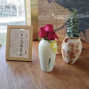 游泳的鱼12